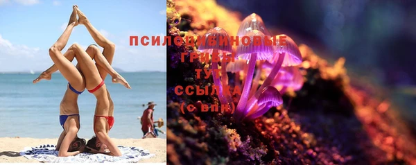 крисы Горняк