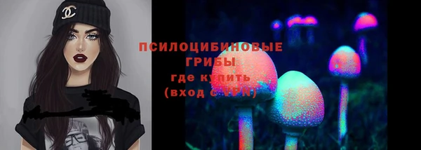 ECSTASY Вязники