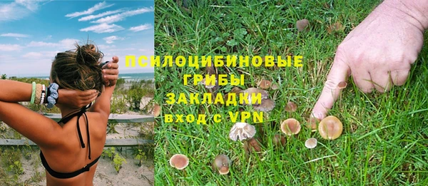 ECSTASY Вязники