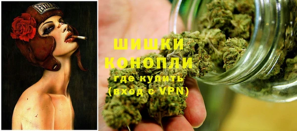 ешки Горнозаводск
