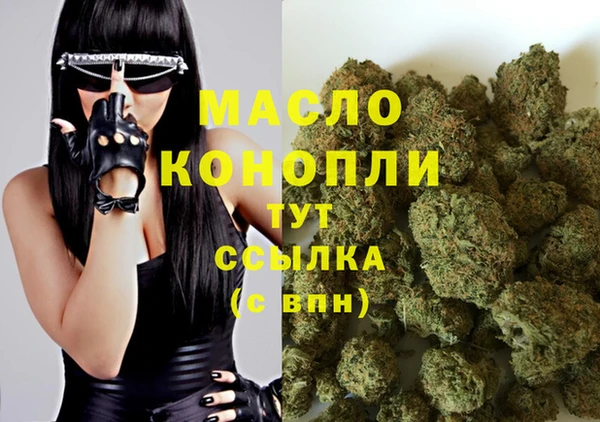 крисы Горняк