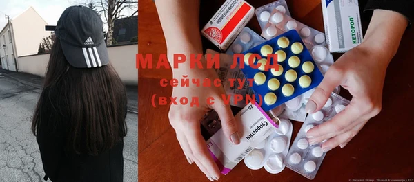 apvp Вяземский