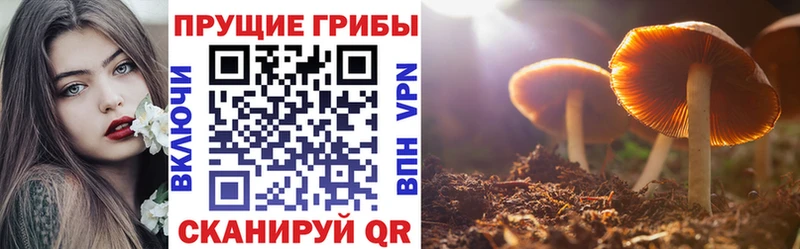Галлюциногенные грибы MAGIC MUSHROOMS Гусиноозёрск