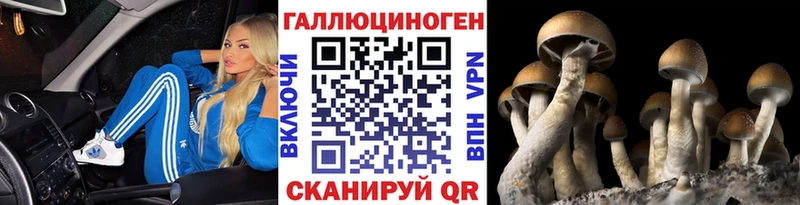 Псилоцибиновые грибы MAGIC MUSHROOMS Гусиноозёрск